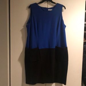 Calvin Klein Color Block Dress